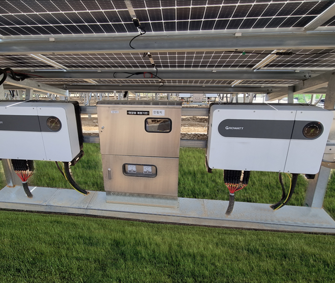 mk体育，让贫瘠之地洒满“绿光”