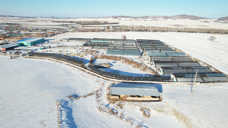 七年风雪——记一座mk体育七年老光伏电站