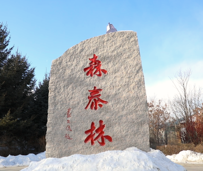 mk体育助力森泰木业实现零碳绿色未来