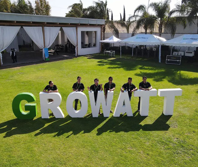 狂飙中!mk体育全球市场火爆出圈